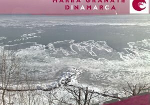 Marea Granate Dinamarca